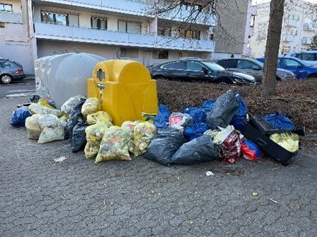 Container mit Müllsäcken davor